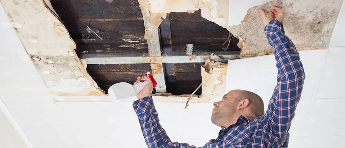 Can You Test for Black Mold Without Calling a Pro?